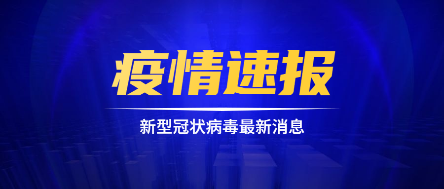 全球疫情动态更新，最新消息与应对策略的视频报告