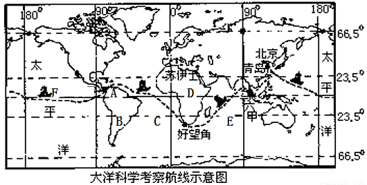 青里东最新问题深度探究