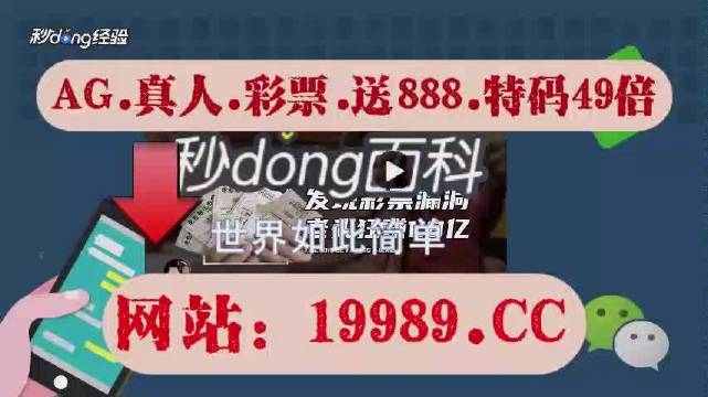 2024年澳门一肖一码,科技成语分析落实_超值版54.88