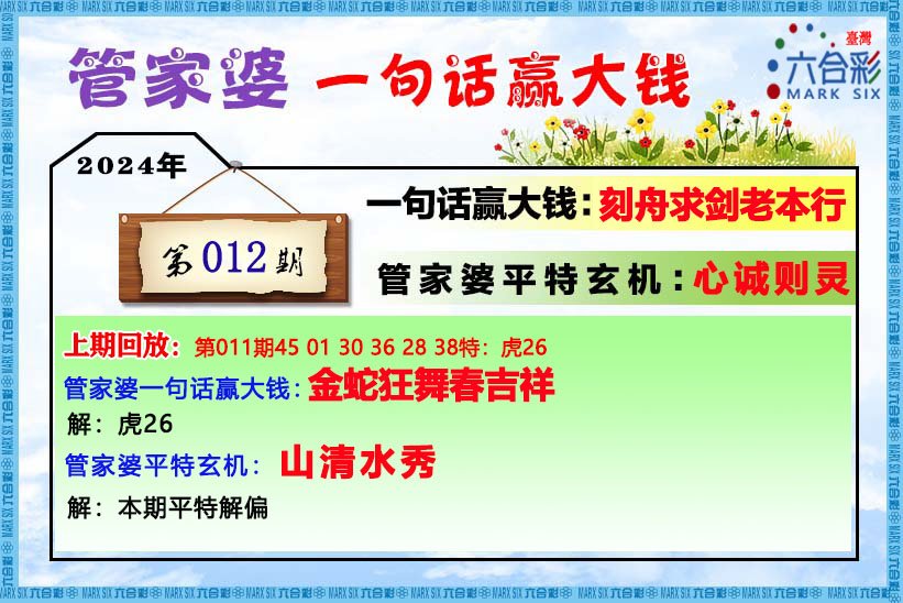 2004管家婆一肖一码澳门码,正规解答解释落实_Elite85.631