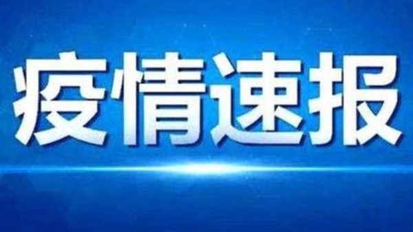 国内新冠疫情最新动态，全面应对，精准施策