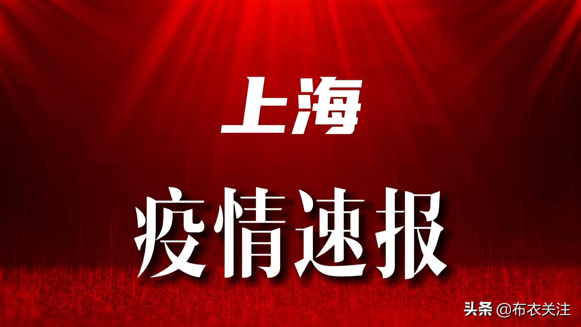 上海疫情最新通报文件深度解析